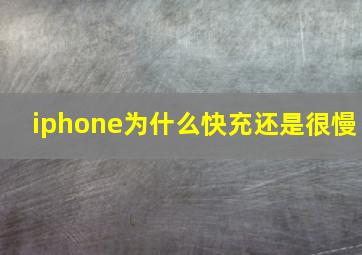 iphone为什么快充还是很慢