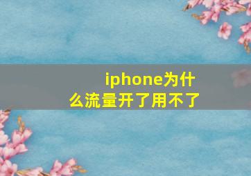 iphone为什么流量开了用不了