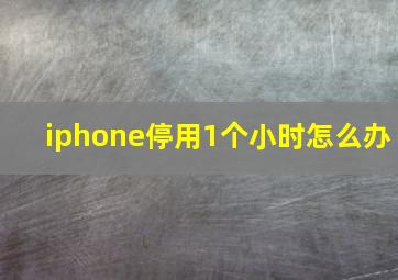 iphone停用1个小时怎么办