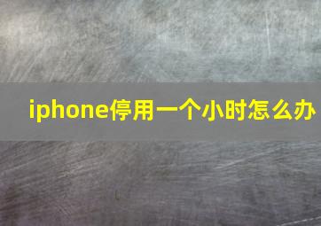 iphone停用一个小时怎么办