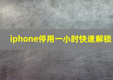 iphone停用一小时快速解锁