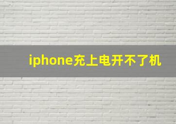 iphone充上电开不了机