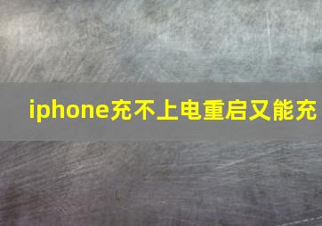 iphone充不上电重启又能充