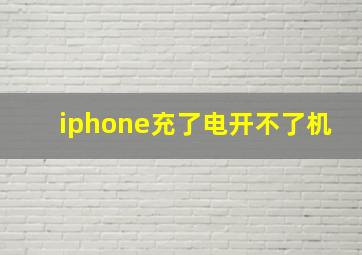 iphone充了电开不了机