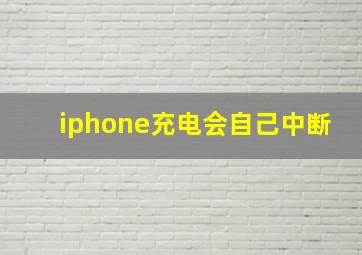 iphone充电会自己中断