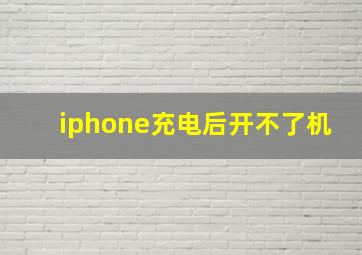 iphone充电后开不了机