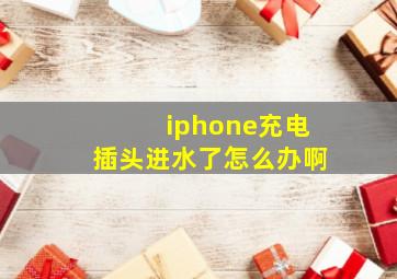 iphone充电插头进水了怎么办啊