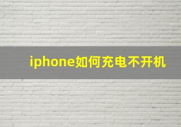 iphone如何充电不开机