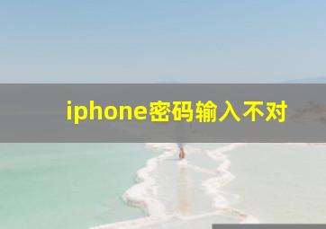 iphone密码输入不对