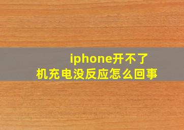 iphone开不了机充电没反应怎么回事