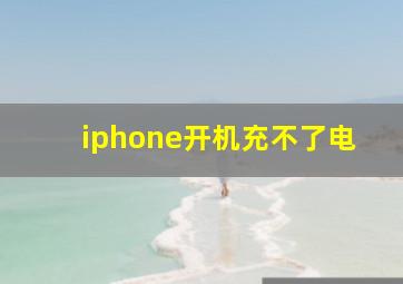 iphone开机充不了电