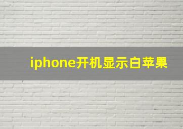 iphone开机显示白苹果