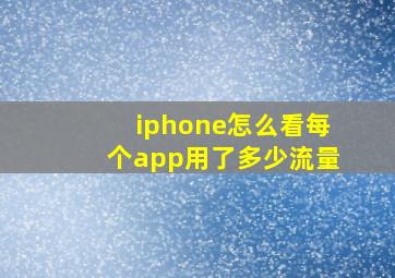 iphone怎么看每个app用了多少流量