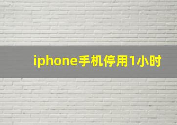 iphone手机停用1小时