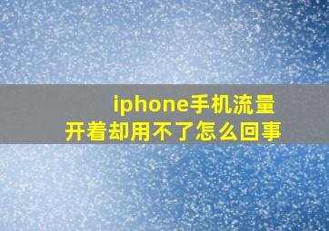 iphone手机流量开着却用不了怎么回事