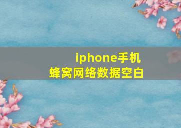 iphone手机蜂窝网络数据空白