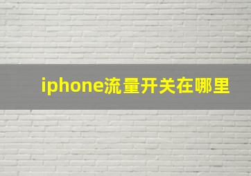 iphone流量开关在哪里