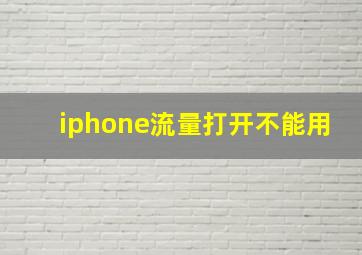 iphone流量打开不能用