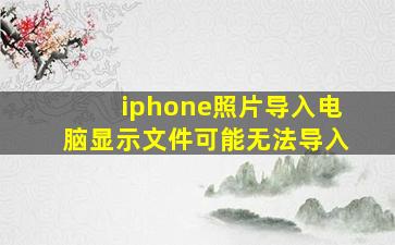 iphone照片导入电脑显示文件可能无法导入