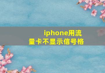 iphone用流量卡不显示信号格