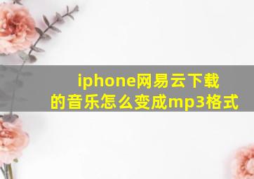 iphone网易云下载的音乐怎么变成mp3格式