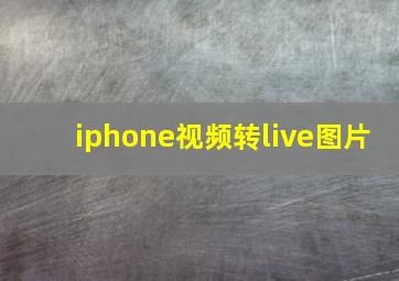 iphone视频转live图片