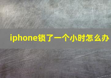 iphone锁了一个小时怎么办