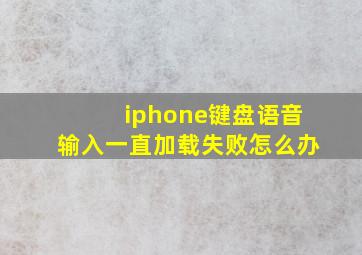 iphone键盘语音输入一直加载失败怎么办