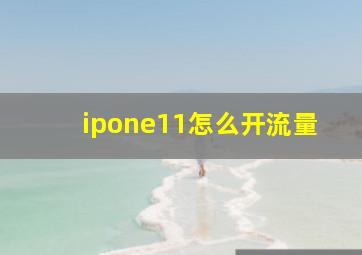 ipone11怎么开流量