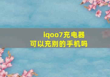 iqoo7充电器可以充别的手机吗