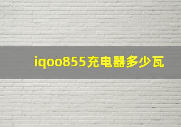 iqoo855充电器多少瓦