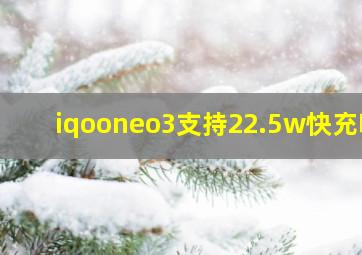 iqooneo3支持22.5w快充吗