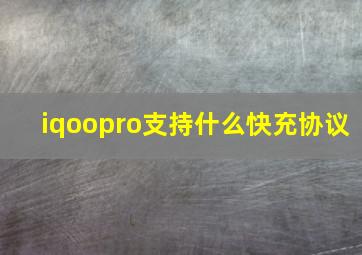 iqoopro支持什么快充协议