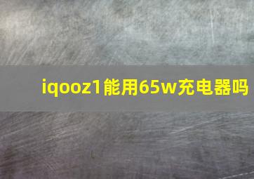 iqooz1能用65w充电器吗