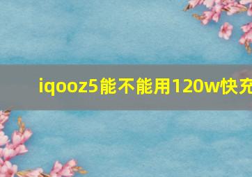 iqooz5能不能用120w快充