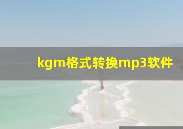 kgm格式转换mp3软件