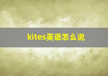 kites英语怎么说