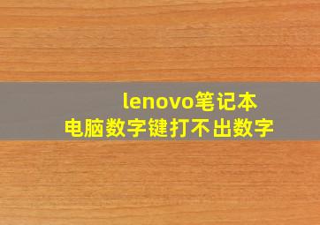 lenovo笔记本电脑数字键打不出数字