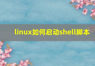 linux如何启动shell脚本