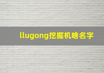 llugong挖掘机啥名字