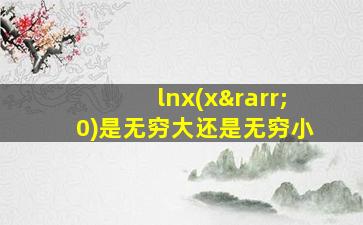 lnx(x→0)是无穷大还是无穷小