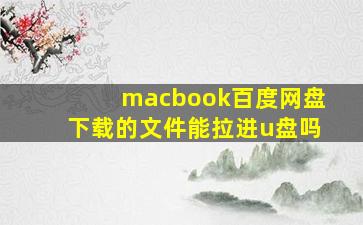 macbook百度网盘下载的文件能拉进u盘吗