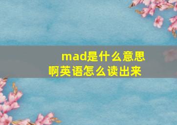 mad是什么意思啊英语怎么读出来