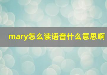 mary怎么读语音什么意思啊