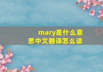 mary是什么意思中文翻译怎么读