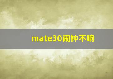 mate30闹钟不响