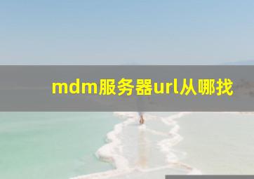 mdm服务器url从哪找