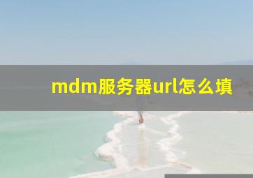 mdm服务器url怎么填