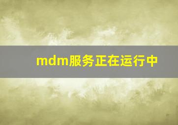 mdm服务正在运行中