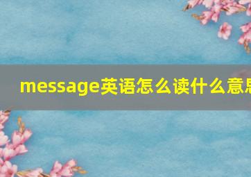 message英语怎么读什么意思